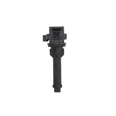 Afbeelding van Bobine DELPHI GN10203 12B1