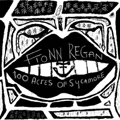 Afbeelding van Fionn Regan 100 Acres Of Sycamore (LP)