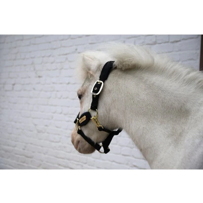 Afbeelding van Velvet halster zwart shetland pony