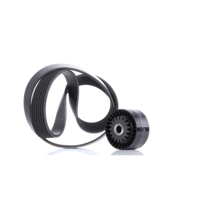 Afbeelding van Ina Poly V riemen kit 529 0016 10