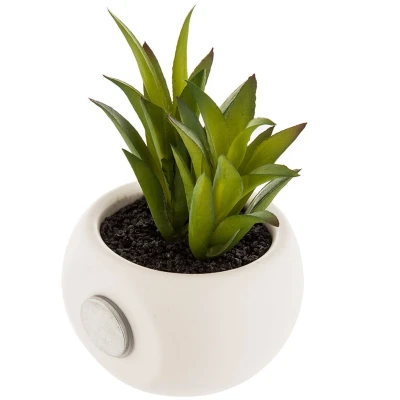 Afbeelding van Decoratieve plant Atmosphera Magneet Groen PVC