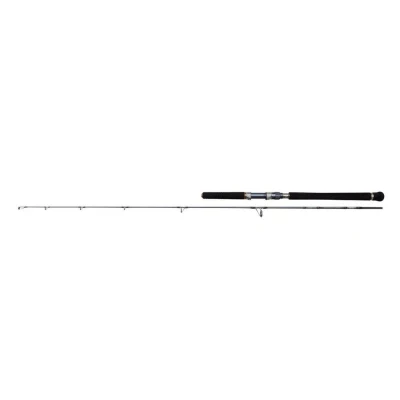 Afbeelding van Penn Battalion Solid Jigging Spinning Zeevis Hengel 1.83m (300g) hengels