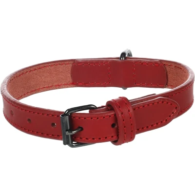 Afbeelding van Flamingo Denver Gewoon Halsband Honden Rood S/m 31 39cm 20mm 1st 174655
