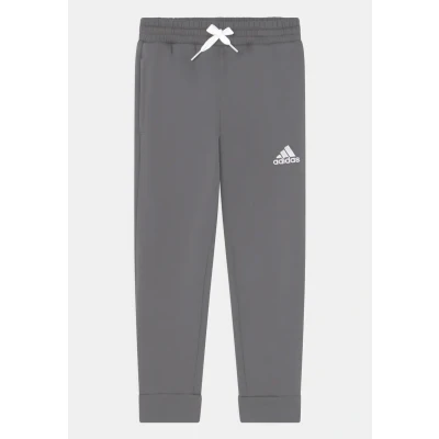 Afbeelding van adidas Ent22 Sw PNTY Kinderbroek, uniseks