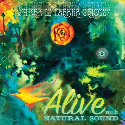 Afbeelding van V/A Where is Parker Griggs? (LP)
