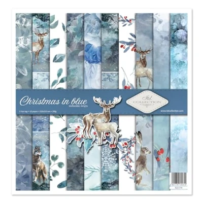 Afbeelding van ITD collectie scrapbooking pakket 30,5 x cm, papier, decoratief decoupage, kaarten maken, papierformaat 310 320 mm (SLS019)