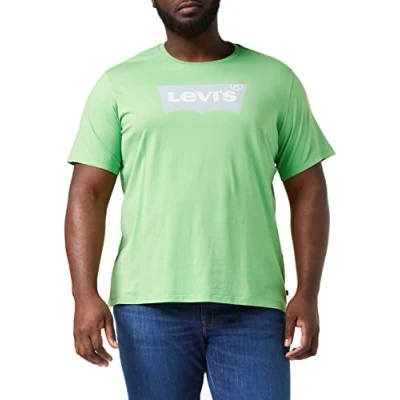 Image de Levi&#039;s Homme T shirt Graphic Crewneck Tee, Batwing Logo Peppermint, L