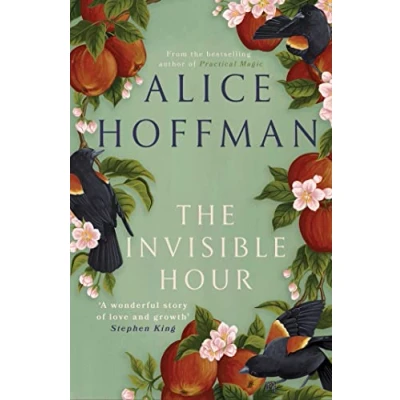 Afbeelding van The Invisible Hour