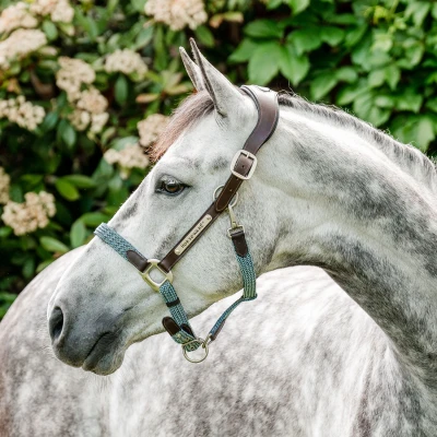 Image de Horseware Licol Signature Brown/Navy/Blue Haze Poney
