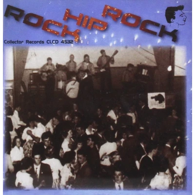Afbeelding van Various Artists Rock Hip (CD)