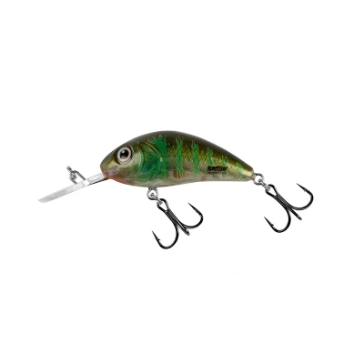 Image de Salmo Rattlin Hornet Flottant (profondeur 1.8 3.4m) 4.5cm 6g Kleur : Green Gill Clear