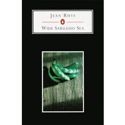 Afbeelding van Wide Sargasso Sea
