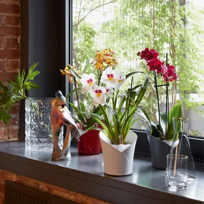 Afbeelding van Lechuza Orchidea Scharlakenrood mat