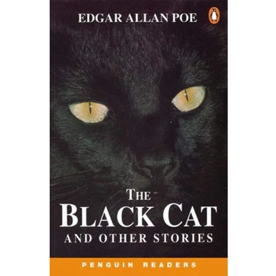 Afbeelding van The Black Cat and Other Stories