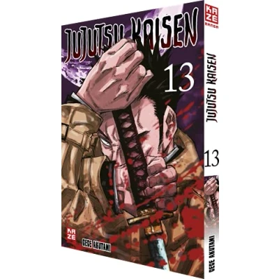 Afbeelding van Jujutsu Kaisen Band 13