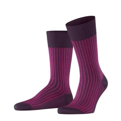 Afbeelding van FALKE Oxford Stripe herensokken (aubergine) Maat: 41 42