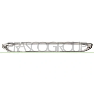 Afbeelding van PRASCO CI2042206 Frame, radiateurgrille