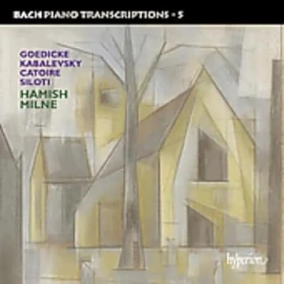 Afbeelding van Bach Piano Transcriptions V.5