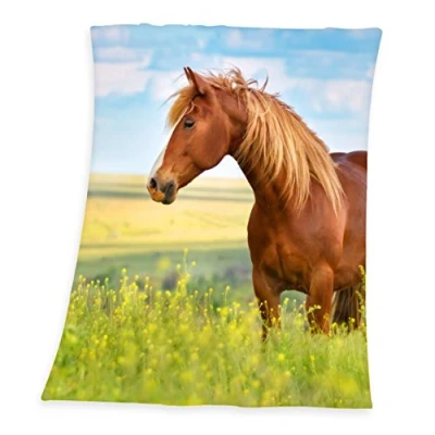 Afbeelding van Horse Plaid Polyester 130x160 cm Multi kleur