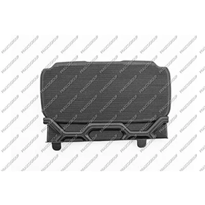Afbeelding van PRASCO SZ0391220 Grille Auto zwart