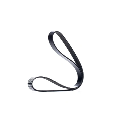 Afbeelding van Poly V riem DAYCO 6PK1026S
