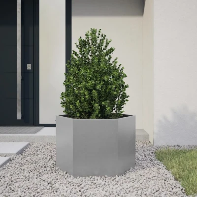 Afbeelding van vidaXL Plantenbak zeshoek 69x60x45 cm gegalvaniseerd staal