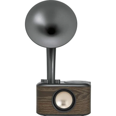 Afbeelding van Sangean Wr 45, Retro Style Fm/bt Radio, Zwart