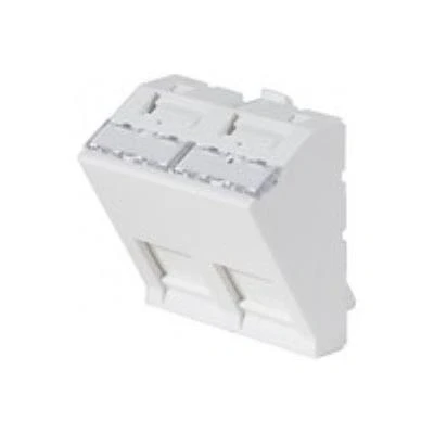 Image de Plastron 45X45 2 RJ45 inclinées 30
