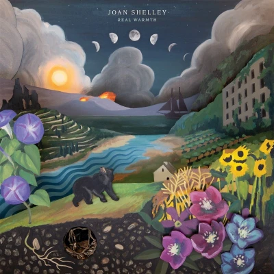 Afbeelding van Joan Shelley Real Warmth (LP)