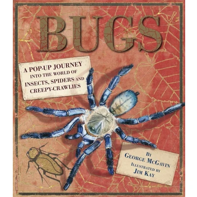 Afbeelding van Bugs A Pop up Journey
