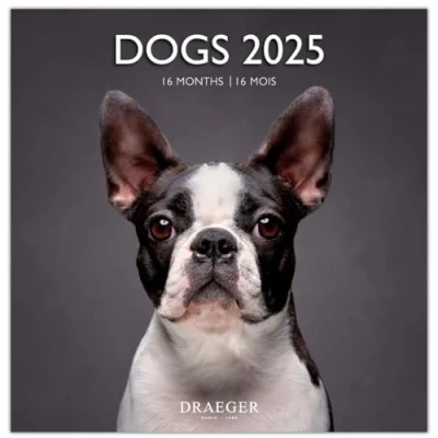 Afbeelding van Grote wandkalender, 29 x cm, 2025, september 2024 tot december honden