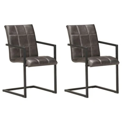 Afbeelding van vidaXL Eetkamerstoelen 2 st echt leer grijs