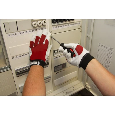 Afbeelding van L+D Griffy 1706 10 Montagehandschoen Geiten nappaleer Maat (handschoen): 10, XL EN 388:2016 Cat II 1 paar