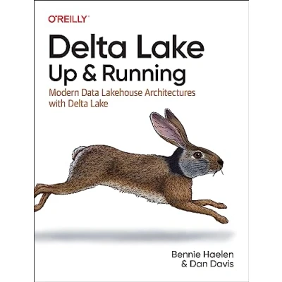 Afbeelding van Delta Lake: Up and Running