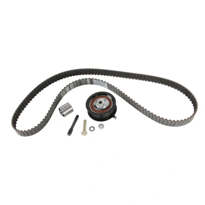 Afbeelding van Distributieriemset SKF VKMA 01016