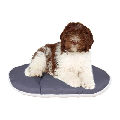 Afbeelding van Ferplast Kussen Relax Bruin&amp;Beige Hondenkussen 78x50 cm 78/8f
