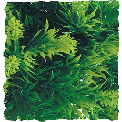 Afbeelding van ZooMed naturalistic flora malasian fern medium terrariumplant