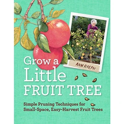 Afbeelding van Grow a Little Fruit Tree