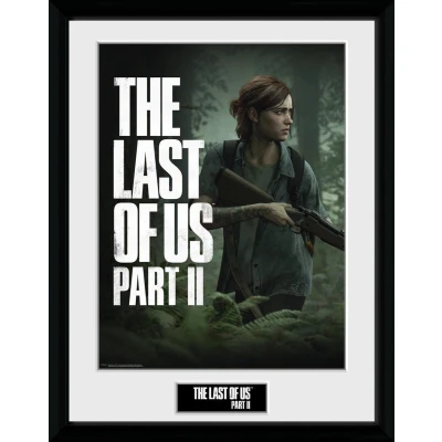 Afbeelding van Art Print The Last of Us Key 30x40cm inclusief kader