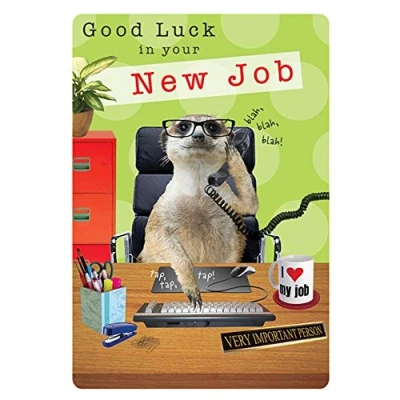 Afbeelding van Piccadilly Greetings Group Ltd Kleurrijke meerkat wenskaart op het werk &quot;Good Luck in your new job&quot;, groen, bruin, zwart, rood, geel, 17,8 x 12,7 cm