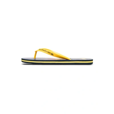 Afbeelding van Quiksilver Molokai Stripe 25 Teenslippers, Heren, Maat: 40, Bsw6 Kunststof