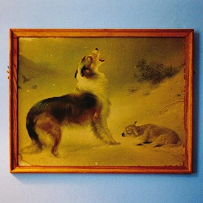 Afbeelding van Explosions In the Sky Rescue (LP)