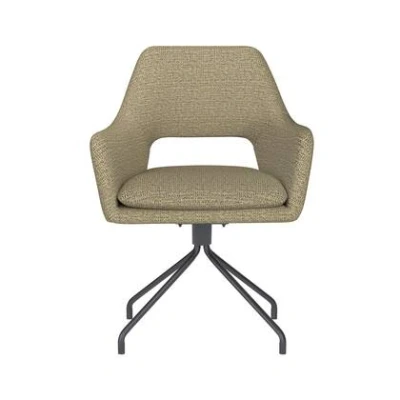Afbeelding van Housecraft Living Mos Eetkamerstoel Draaibaar Metaal Spider Pistache groen