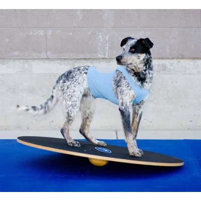 Afbeelding van FitPAWS Wobble Board