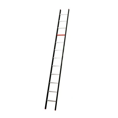 Afbeelding van Altrex 1 delige ladder Nevada 12 sporten