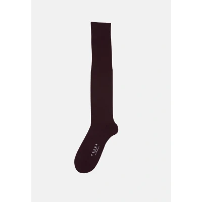 Afbeelding van FALKE Airport heren kniekousen rood (barolo) Maat: 39 40