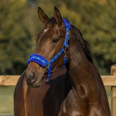 Afbeelding van Horka Halster Plush Royal Blue Shetty