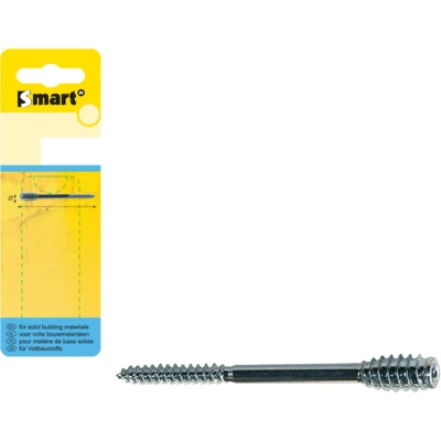 Afbeelding van SMART Afstandschroef T drive Ø 6,00x100 Zn 6 st