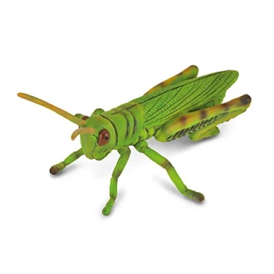 Afbeelding van Collecta Insecten (M): SPRINKHAAN 8.2x5.5cm