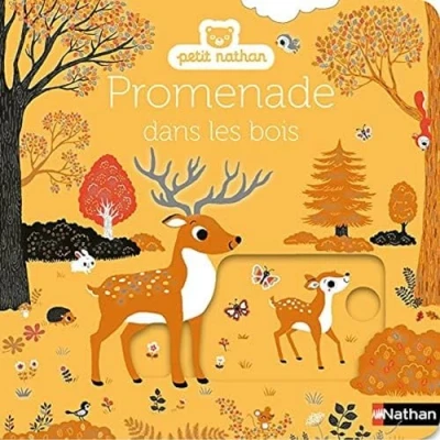 Afbeelding van Promenade dans les bois